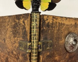 Geologies of the Unseen (Details)