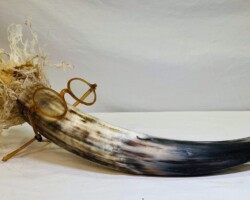 Horn Brush 2 -- $195.00
