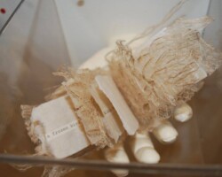 Hand Over Your Book In UW - Kohler Library Collection.