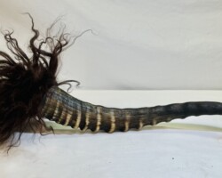 Horn Brush 1 -- $185.00