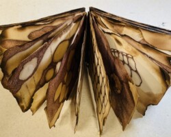 Geologies of the Unseen (Details)