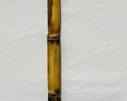Brush 51 -- $65.00
