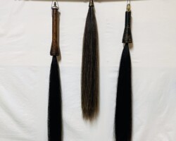 The Three Witnesses -- $650.00