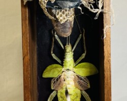 Nature's Prayer $275.00