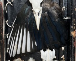 Intersections: Right Side