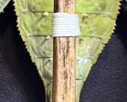 Nature's Prayer (Details)