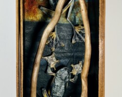 The Sacred Vials of Mystic Frogs SOLD