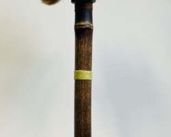 Laundry Day Under the Alpaca Tree